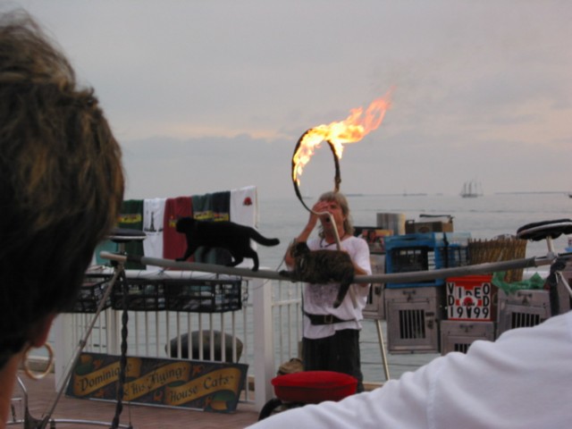 IMG_3644.JPG