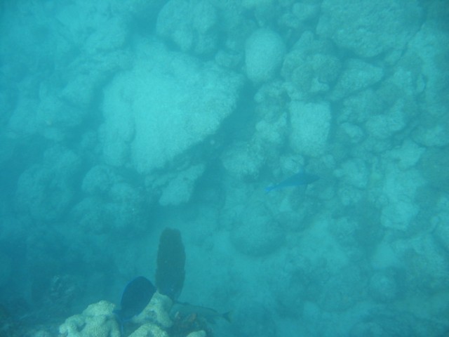 IMG_3666.JPG
