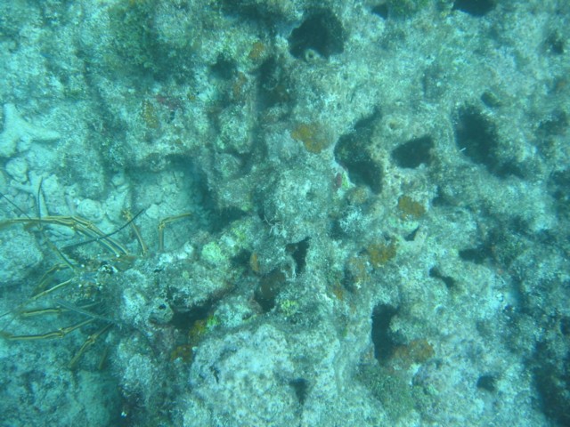 IMG_3681.JPG
