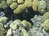 IMG_3682.JPG