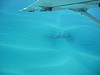 IMG_3695.JPG