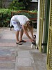 img_3717.jpg