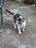 img_3722.jpg