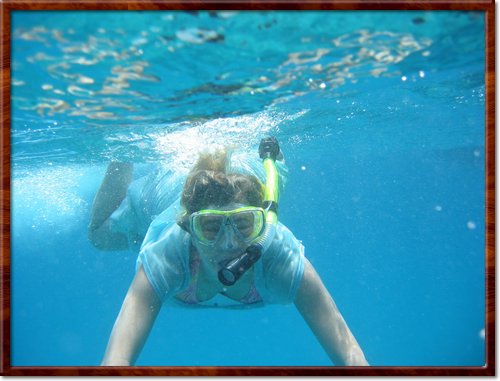 snorkeling
