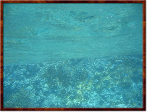 snorkeling
