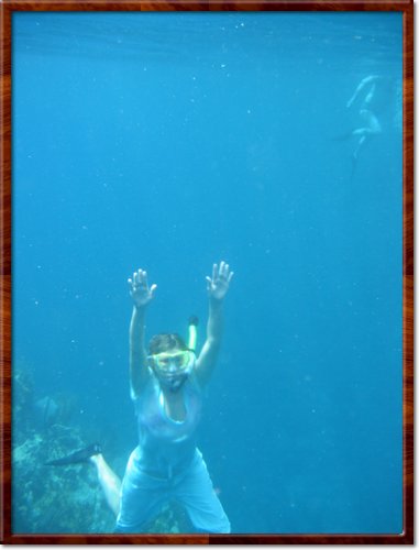 snorkeling
