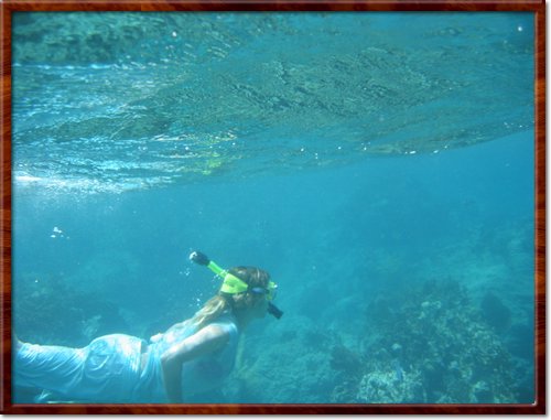 snorkeling
