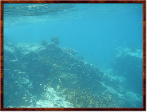 snorkeling
