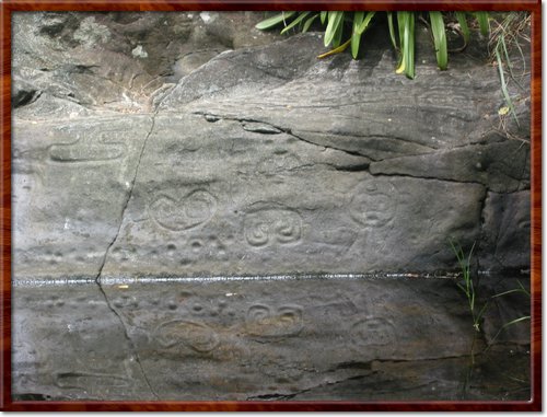 Hiking the Reef Bay Trail
Petroglyphs