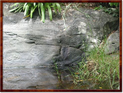 Hiking the Reef Bay Trail
Petroglyphs