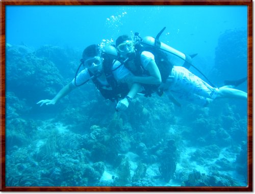 Scuba Dive
