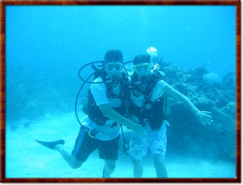 Scuba Dive
