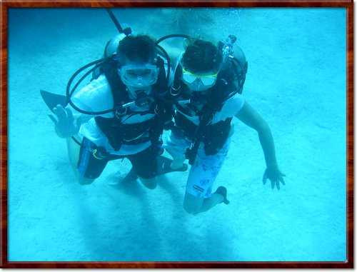 Scuba Dive
