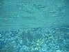 IMG_3790.JPG/snorkeling/