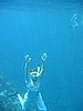 IMG_3791.JPG/snorkeling/