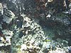 IMG_3792.JPG/snorkeling/