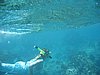 IMG_3805.JPG/snorkeling/