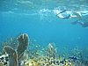 IMG_3809.JPG/snorkeling/