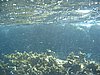 IMG_3810.JPG/snorkeling/