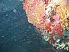 IMG_3815.JPG/snorkeling/