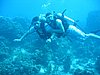 IMG_3856.JPG/Scuba Dive/