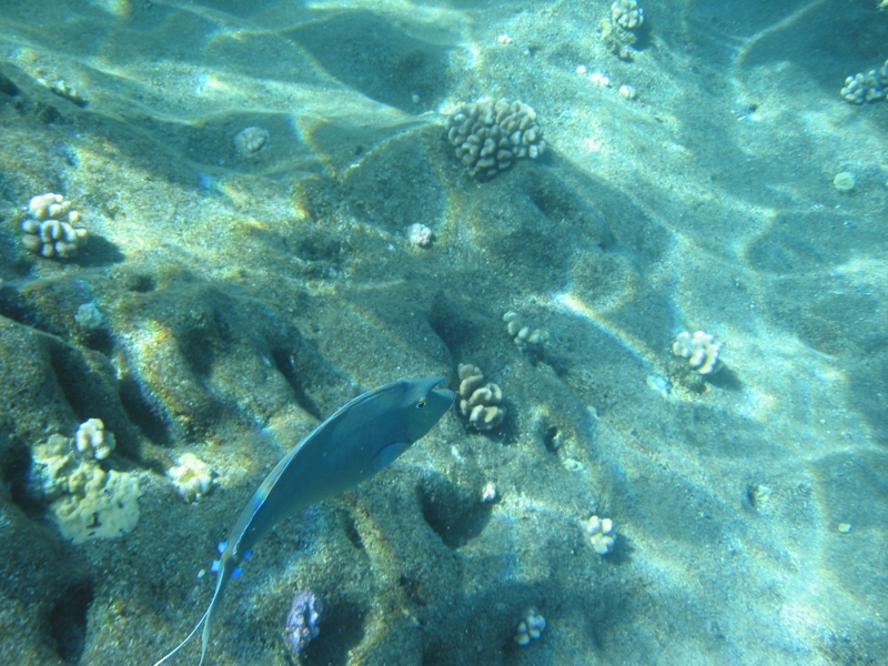 IMG_3872.JPG