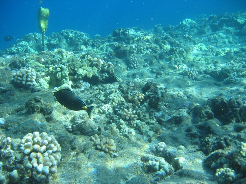 IMG_3873.JPG