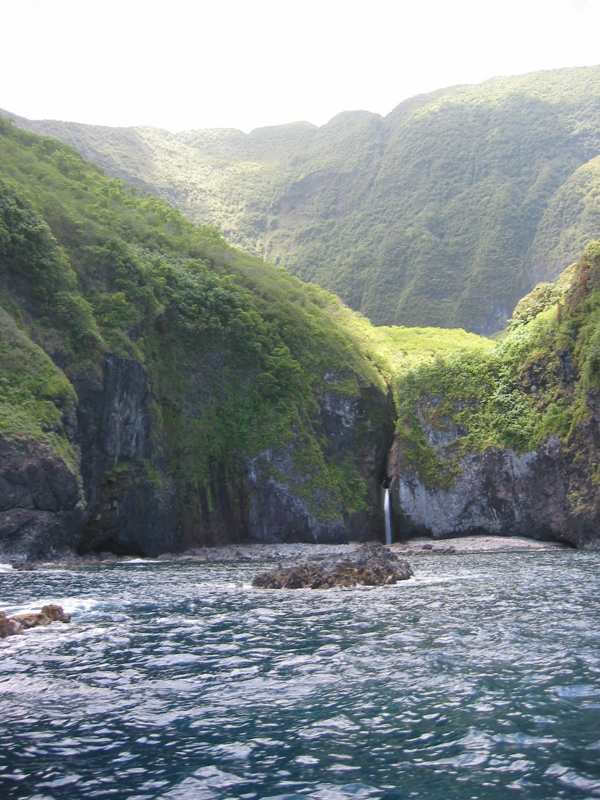 IMG_4033.JPG