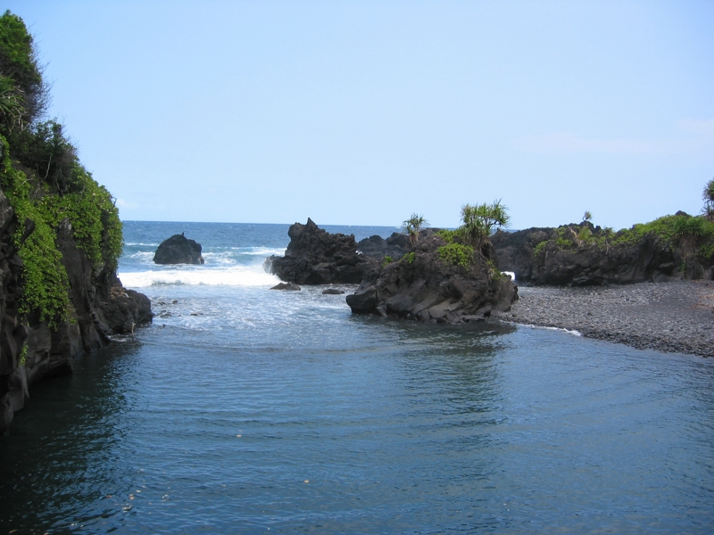 IMG_4244.JPG