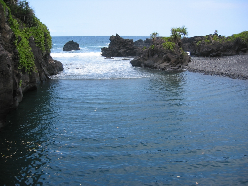 IMG_4246.JPG