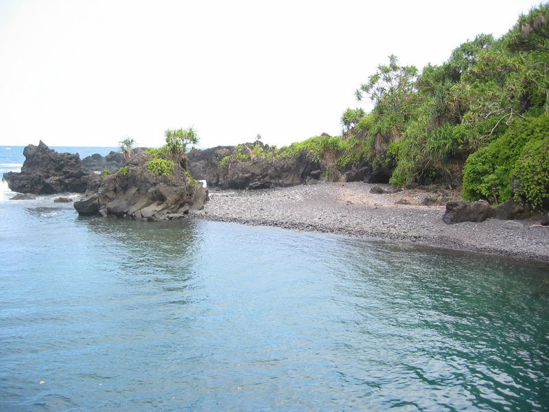 IMG_4248.JPG