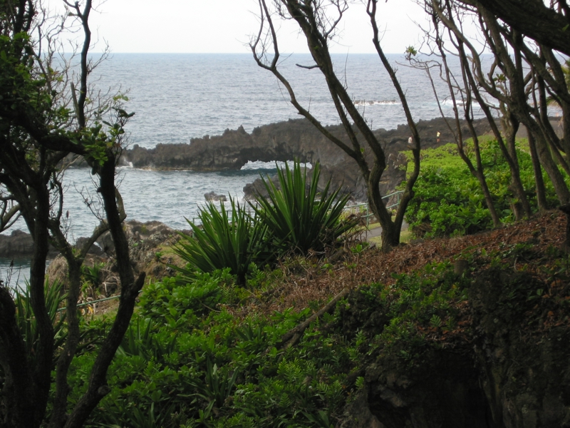 IMG_4370.JPG