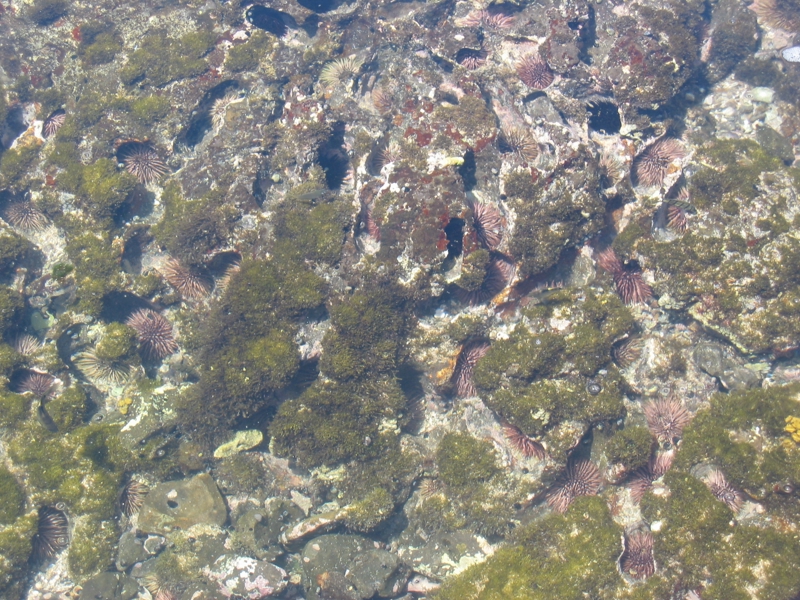 IMG_4414.JPG
