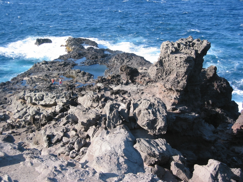 IMG_4448.JPG