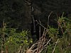 IMG_3928.JPG