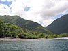 IMG_3981.JPG