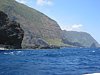 IMG_4013.JPG