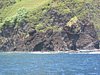 IMG_4020.JPG