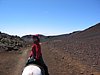 IMG_4055.JPG