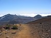 IMG_4073.JPG