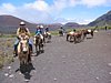 IMG_4108.JPG