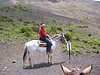 IMG_4113.JPG