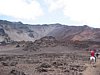 IMG_4117.JPG