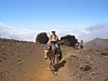 IMG_4132.JPG