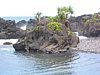 IMG_4245.JPG