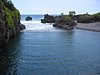 IMG_4246.JPG