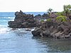 IMG_4253.JPG