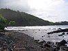 IMG_4278.JPG