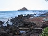 IMG_4289.JPG