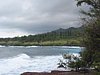 IMG_4308.JPG